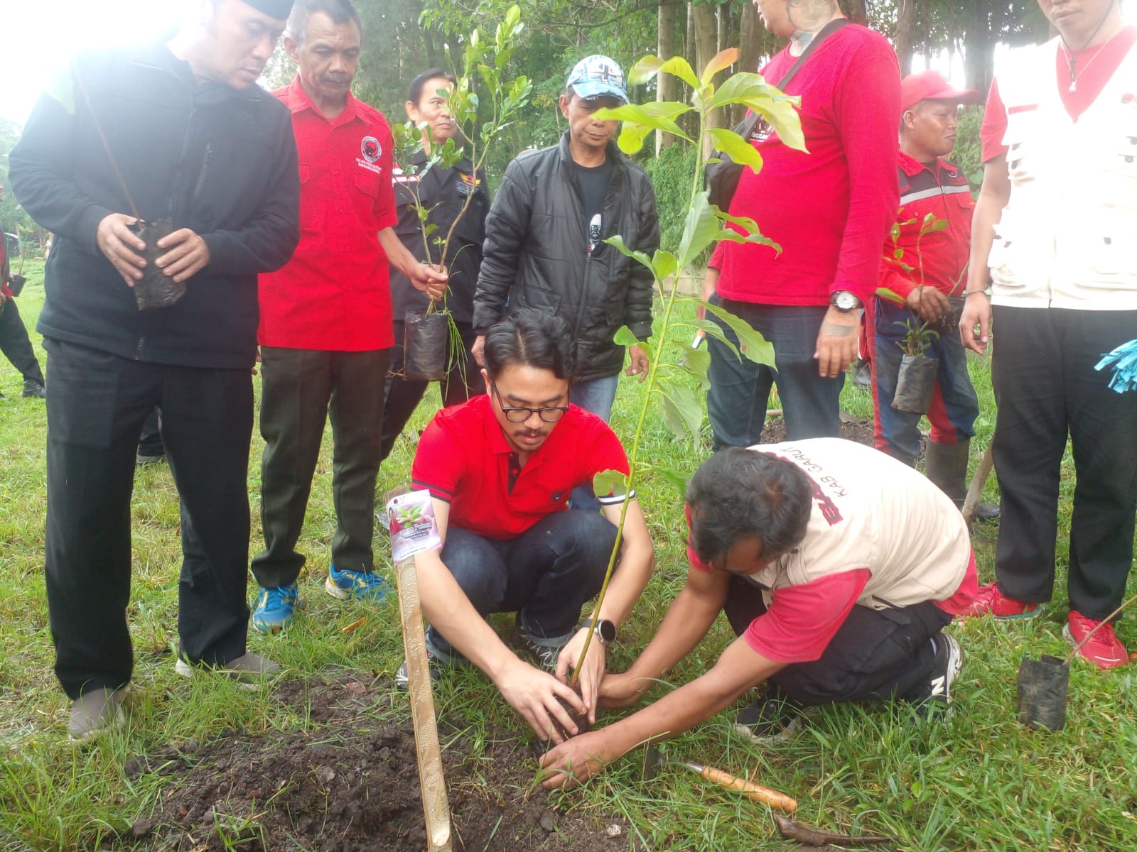 DPC PDI Perjuangan Garut Peringati HUT Ketum dengan Tanam 79 Pohon dan Tebar Benih Ikan