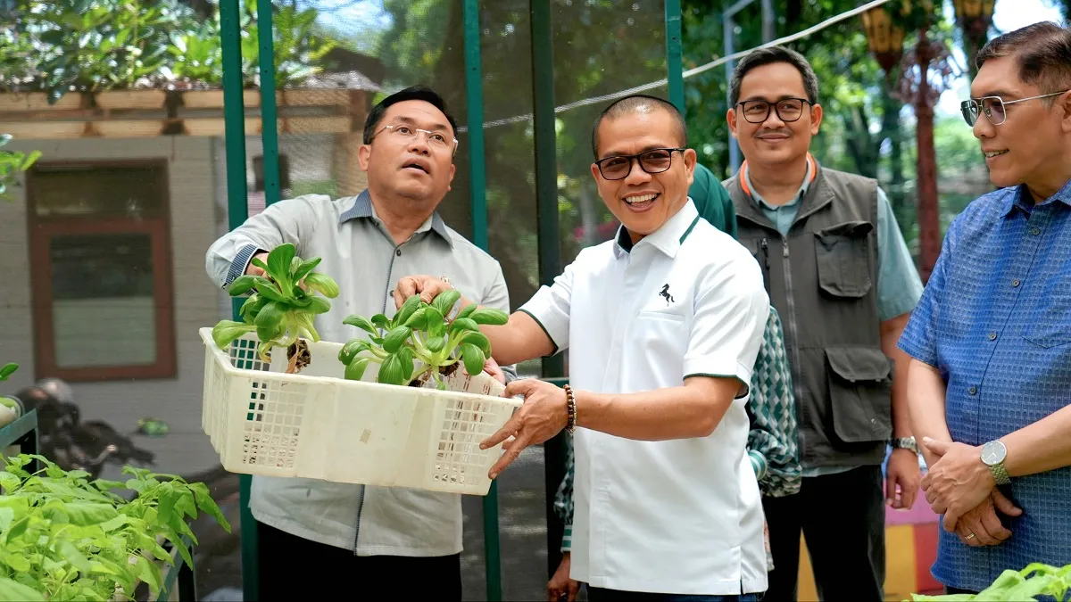  Kang DS dan Wakil Kepala BGN Gelar Panen Perdana Gertaman di Soreang