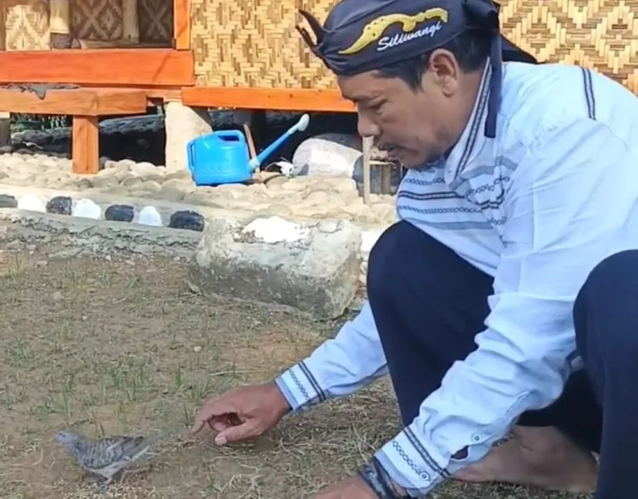 Pemdes Pakalongan Lepasliarkan Burung Perkutut untuk Dukung Kelestarian Lingkungan