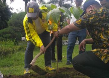 Bupati dan DLH Terus Genjot Program Tanam Pohon dan Endemik