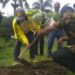Bupati dan DLH Terus Genjot Program Tanam Pohon dan Endemik