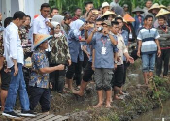 Presiden: KUR Bisa Tingkatkan Produktivitas