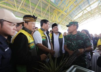 Luhut: Rp. 605 Miliar Untuk Citarum Harum
