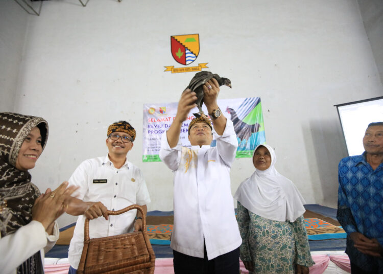 4.279 RTM Terima Bantuan 189 Ribu Benih Ayam Sentul