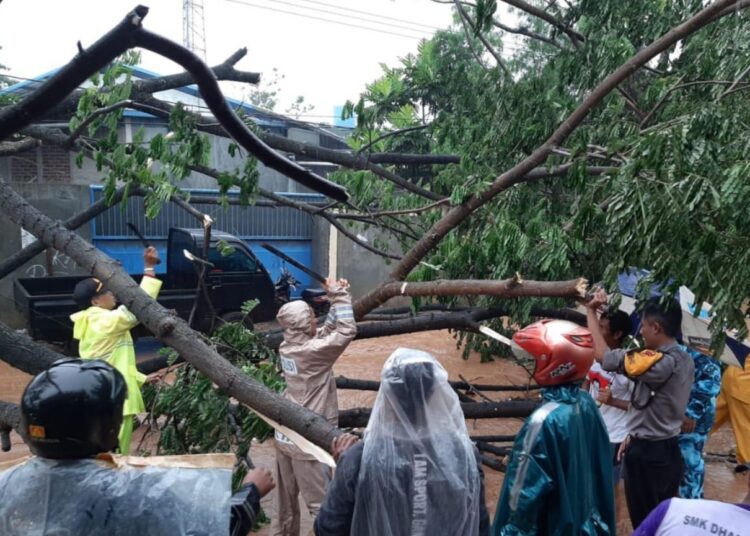 Kapolsek Cikancung Pimpin Langsung Evakuasi Pohon Tumbang