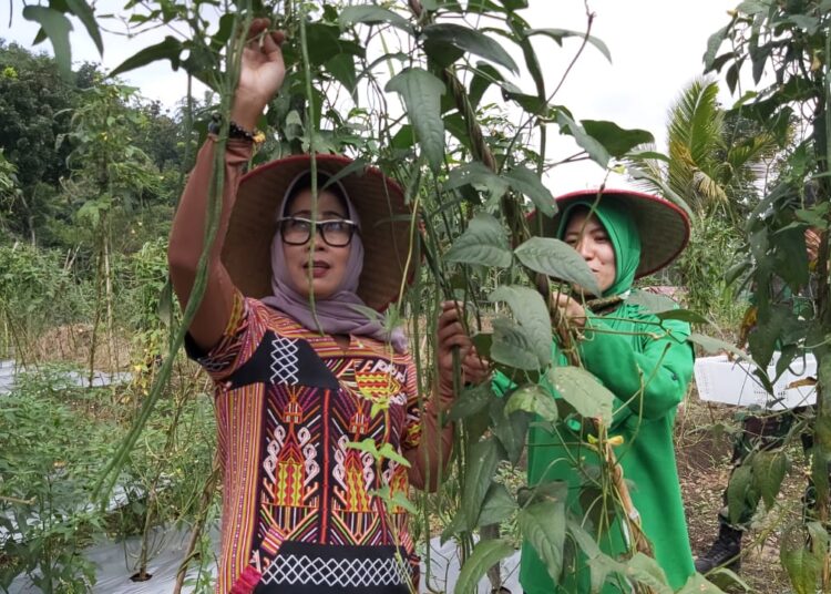 Hera Wahyu Tinjau Langsung Kreativitas Bercocok Tanam dan Ternak