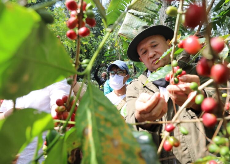 MenkopUKM Pastikan Reaktivasi Kegiatan Usaha KUKM Kopi Bisa Berjalan