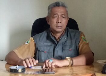 Kepala Desa Jatisari, Kecamatan Kutawaringin Dayat Hidayat