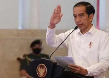 Jokowi Akan Tunjuk Langsung Pj Kepala Daerah