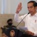 Jokowi Akan Tunjuk Langsung Pj Kepala Daerah