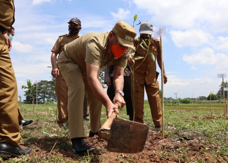 “Nata Alam Ku Budaya Melak Tangkal,” 2000 Bibit Pohon Ditanam di Kaki Gunung Manglayang