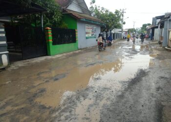 “Miris” Jalan Protokol Kabupaten, Desa Padamukti Solokanjeruk Bertahun-tahun Tak Tersentuh Perbaikan