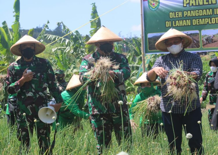 Pangdam III Siliwangi Tinjau Demplot Pertanian Kodim 0610/Sumedang