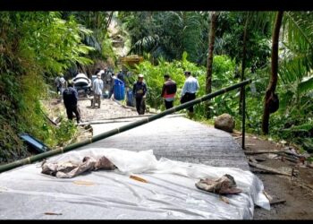 Dorong Perekonomian Warga, Jalan Kedusunan Datarmuncang Dirabat Beton
