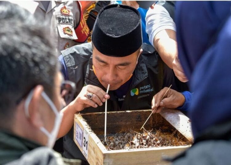 Sekda Menghadiri Peluncuran Petani Milenial Komoditas Lebah Madu