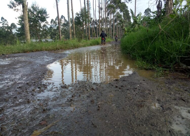 Kondisi Jalan Kabupaten Antara Sukamanah – Pulosari Menghawatirkan