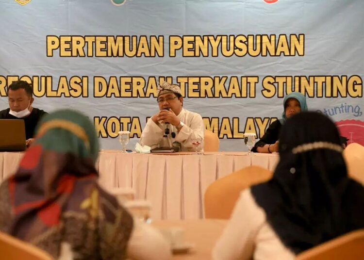 Dinas Kesehatan Susunan Regulasi Daerah Terkait Stunting