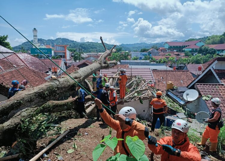 Empat Rumah Warga Pasarean Tertimpa Pohon