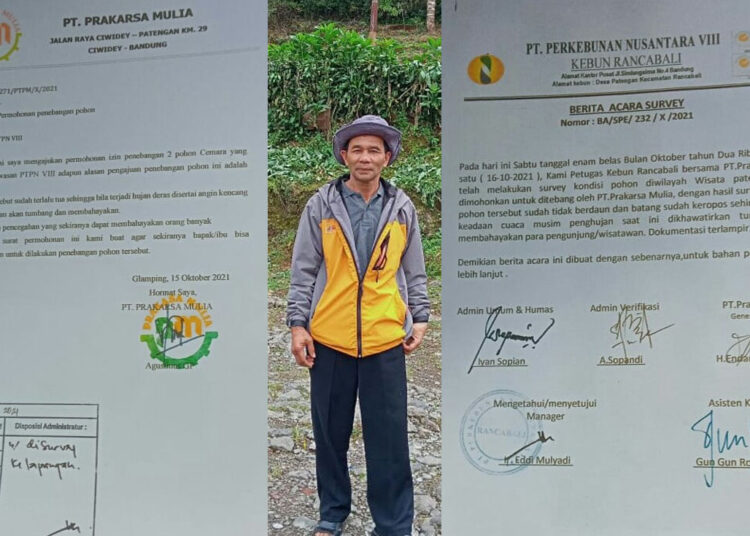 Endang Suherman: Penebangan Sudah Sesuai Ijin Yang Dikantongi