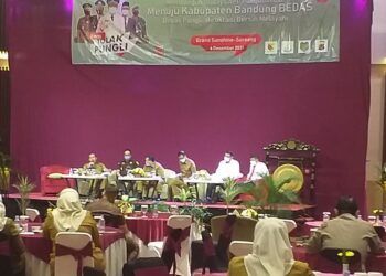 Yudhi Haryanto: Kultur & Budaya Organisasi, Menjadikan Pungli Sebagai Hal Biasa