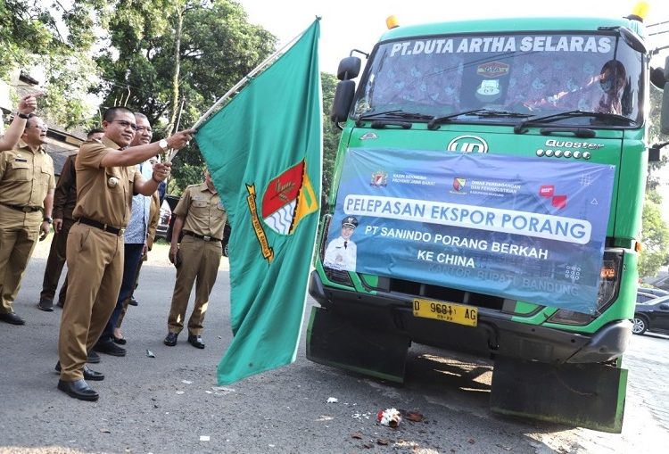 Luar Biasa Go International, 57 Ton Porang Kab. Bandung Diekspor Ke Luar Indonesia