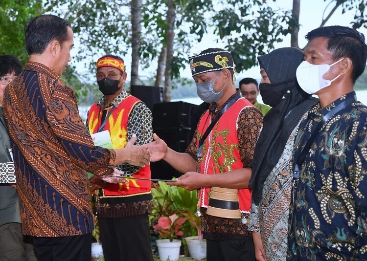 Saifudin Terima Langsung SK dari Presiden Jokowi