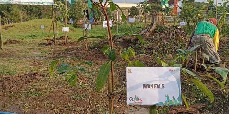 Iwan Fals Tanam Pohon Manglid di Area Halaman Si Jalak Harupat