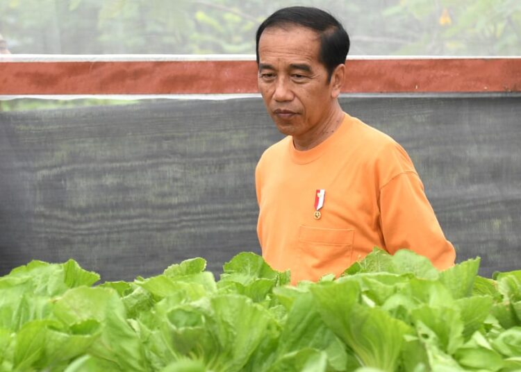 Presiden Jokowi Apresiasi Kegiatan di Waibu Agro Eduwisata