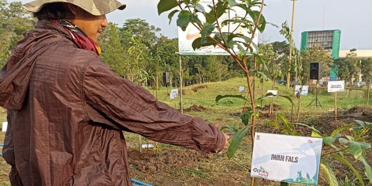 Iwan Fals Tanam Pohon Manglid di Area Halaman Si Jalak Harupat