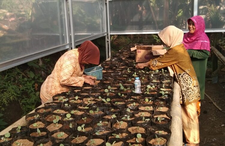 Pemdes Tanjungsari Laksanakan Program Harum Madu