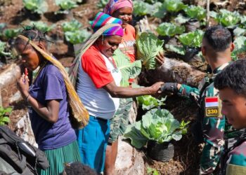 Satgas Yonip Para Raider 330 Tri Dharma Ajarkan Warga Bilogai Bercocok Tanam Modern