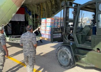 Bantuan Kemanusiaan Indonesia untuk Palestina tiba di Mesir