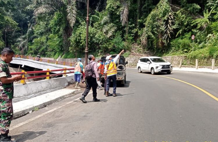 Tim Gabungan TNI-Polri dan Dinas Terkait, Survey Pohon Berpotensi Rawan Tumbang