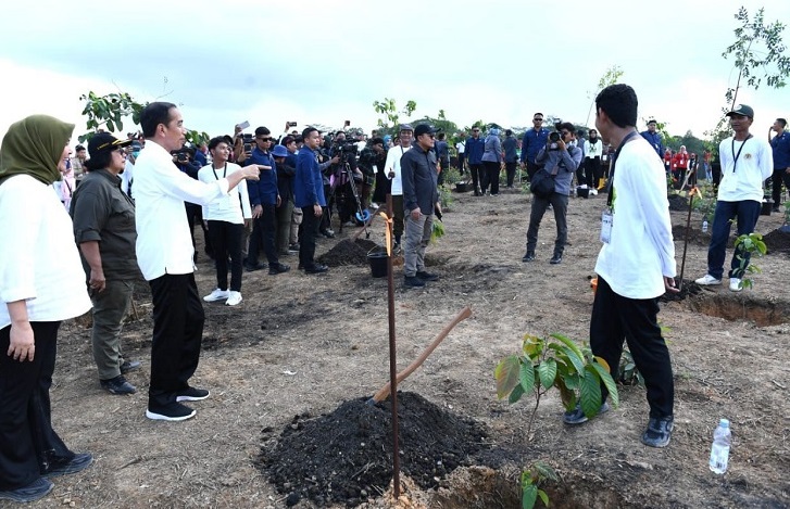 Mulai Penghijauan IKN, Presiden: Untuk Bangun Hutan Hujan Tropis Yang Beragam
