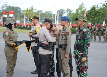 Kapolri Beri Penghargaan Pin Emas Kepada Satgas Operasi Damai Cartenz 2023