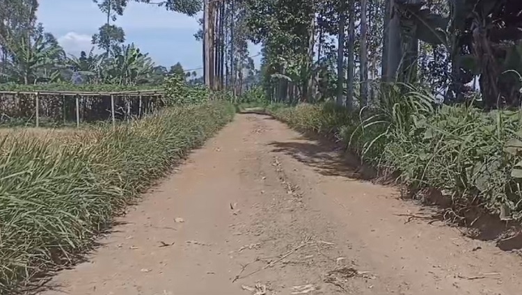 Ingin Lihat & Merasakan Jalan Sangat Rusak, Tidak Usah Jauh Lakukan Perjalanan dari Sukamanah ke Pulosari Pangalengan