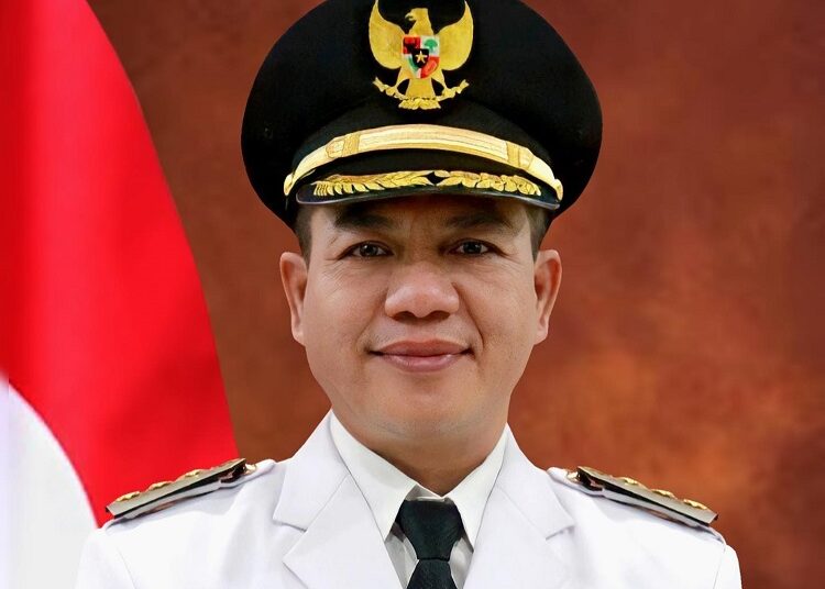 Keberhasilan Bupati Bandung, Begini Penjelasan Prof. Toto Sutarto Gani Utari