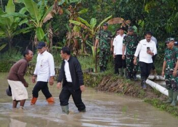 Kementan Berkunjung ke Marongge Tomo Berikan Bantuan Pertanian