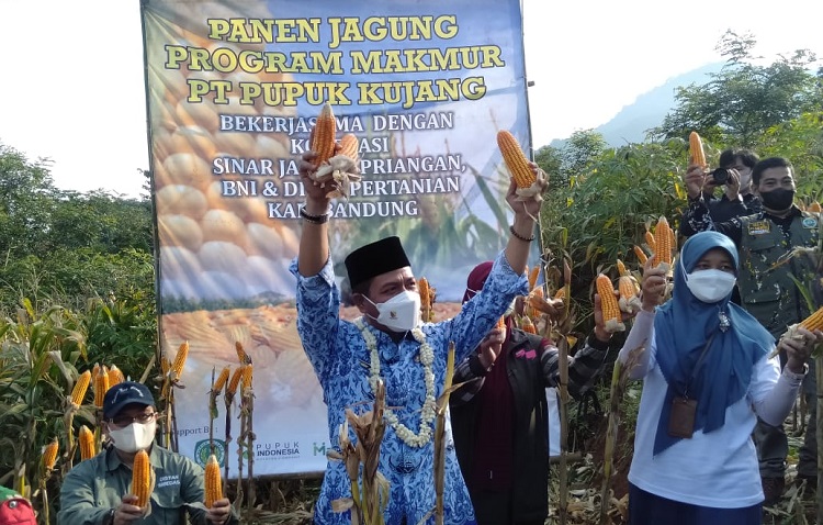 Kang DS Ajak Masyarakat Ramaikan Gebyar Perbenihan Tanaman Pangan Nasional IX