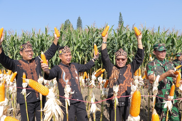 Kab. Bandung Tuan Rumah, Wamen Pertanian Sudaryono Resmi Buka Gebyar Perbenihan Tanaman Pangan Nasional IX/2024