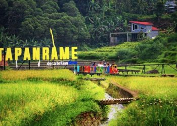 Dukung Pengembangan Ekonomi Desa, Program Desa BRILiaN 2024 Berlanjut