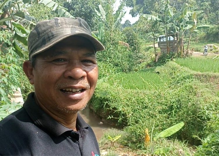 150 Hektar Lahan Sawah di Kecamatan Pacet, Sudah Tidak Bisa Ditanami Akibat TPT Selokan Ambruk