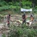 Aparat Gabungan Sisir Cadas Pangeran, Tebang 174 Pohon Rawan Tumbang