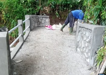 Infrastruktur Ditingkatkan, Mekarsari Bangun Jalan Hotmix dan Jembatan Beton