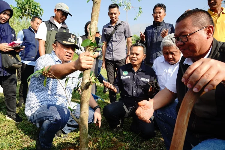 Gerakan Leuweung Hejo, yang dilaksanakan di Edu Wisata Perlebahan Gujung Guntur, Jalan Letjen Ibrahim Adjie, Kecamatan Tarogong Kaler, Kabupaten Garut, Jum'at (11/7/2025).