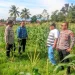 Kapolsek Garut Kota Tinjau Lahan Ketahanan Pangan di Kelurahan Cimuncang