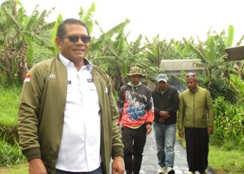 Optimalisasi DD Pemdes Margaluyu Pada Pembangunan Infrastruktur