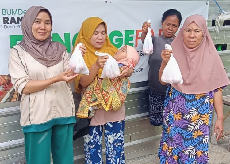 Bumdes Rancage Desa Pangauban Kembangkan Budidaya Ayam Petelur