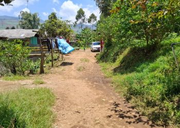 Kades Marga Mukti Apresiasi Program Bonus Produksi Bupati Bandung, 12 Titik Jalan Digarap