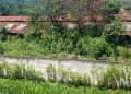 Tolong!! Kotoran Ternak Bebek Cemari Lingkungan Warga Sari Cikawung
